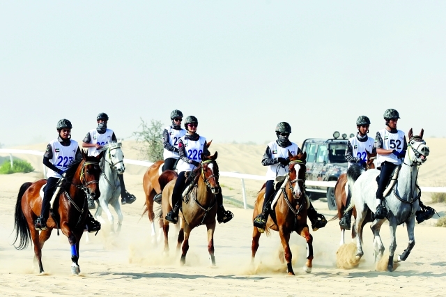 "تصوير خالد نوفل"