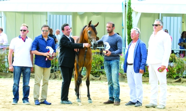 "من المنافسات في بطولة برجامو"