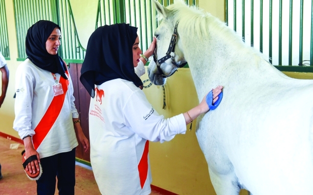 "أساليب التواصل مع الخيل تنمي القدرات القيادية"