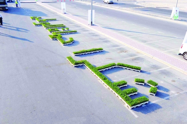 "من الشتلات التي وزعتها البلدية على الجمهور"