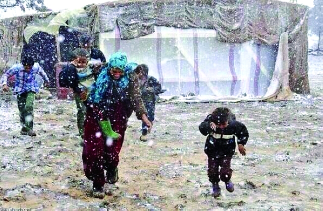 "لاجئو لبنان ينتظرون إغاثة إخوانهم ــ وام"