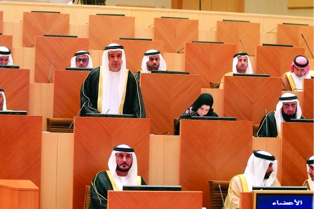 "جانب من مناقشات الأعضاء"