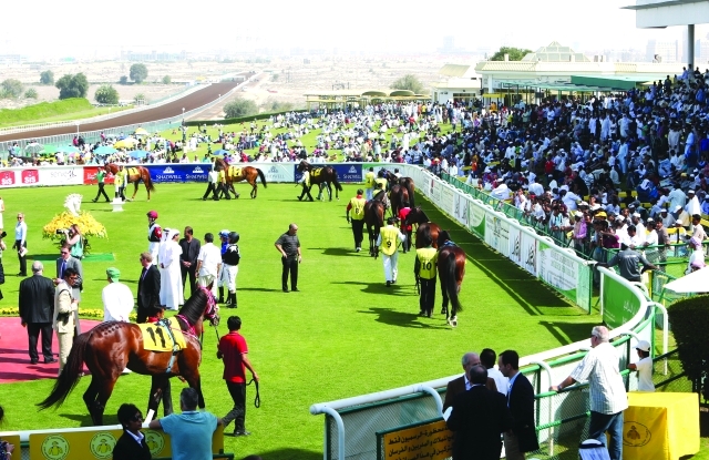 "سباق الخيول العاشر في مضمار جبل علي والمسمى سباق الصفوح مارس، 07، 2014. تصوير محمود الخطيب"
