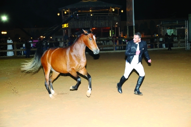 "العروض الاستعراضية ميزت الحفل - البيان"