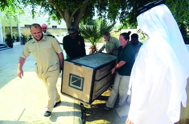 "عملية المصادرة بالتعاون مع القيادة العامة للشرطة وبلدية الشارقة - وام"