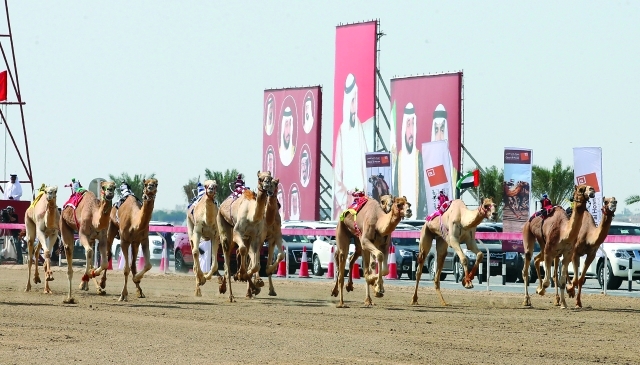"منافسات قوية في مهرجان الحصن - البيان"