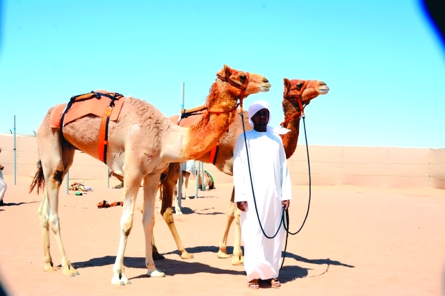 "اليافل والمارد عقب الفوز في السباق - البيان"