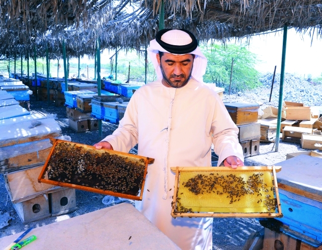 "يهمور داخل المنحلة ويعرض بعضاً من إنتاجه"