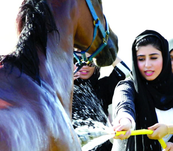 "تعليم الطالبات تنظيف الخيل"
