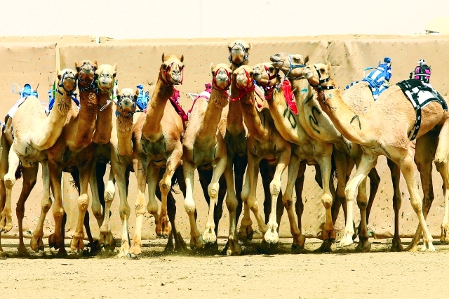 المجموعة العلمية تحتفل باليوبيل الفضي