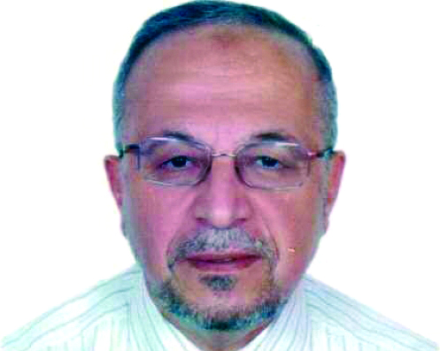"فؤاد الجمل: مشاريع سيتي سكيب تحتاج 6 أشهر للدخول إلى حيز التنفيذ"