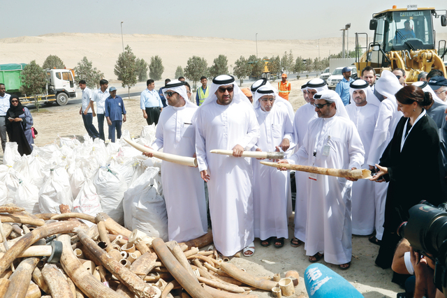 الإمارات الأولى شرق أوسطياً في مكافحة الصيد الجائر