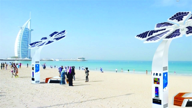 "النخلة الذكية على الشواطئ"