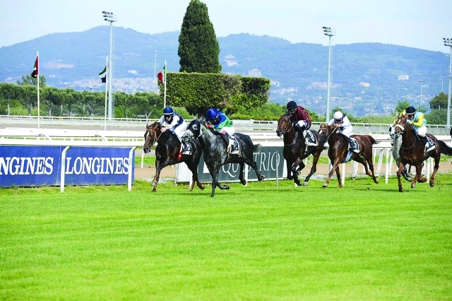 "■ أقوى الخيول تتأهب للمنافسة على جوائز السباق | البيان"