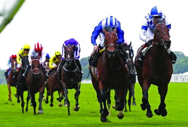 "■ خيول حمدان بن راشد تواصل تألقها في المضامير البريطانية | أرشيفية"