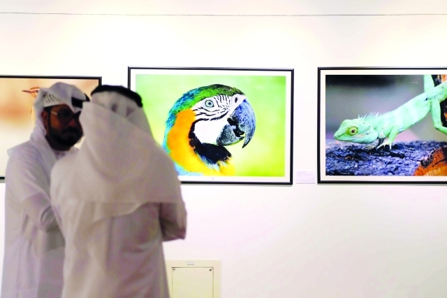 "■ صور نابضة بالحياة وروح البيئة"