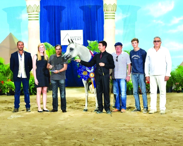 "■ تتويج المهرة «دي نوال»"