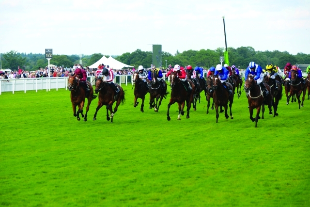 صراع الأقوياء على لقب الكأس الذهبية اليوم