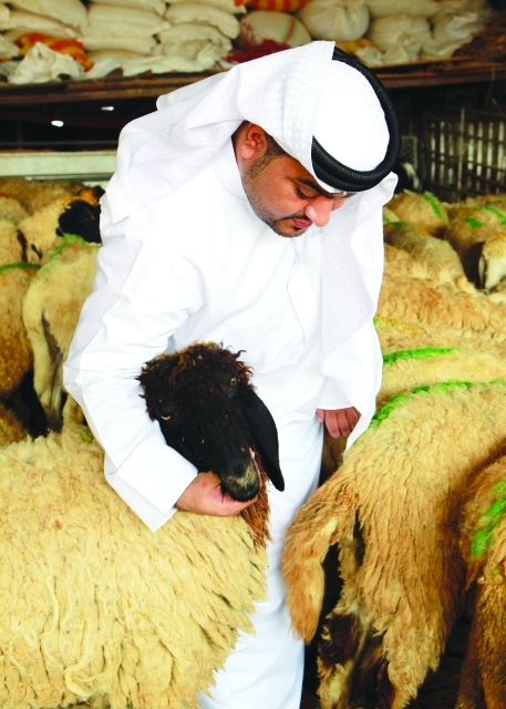 "إقبال كبير على اللحوم والذبائح في شهر رمضان"
