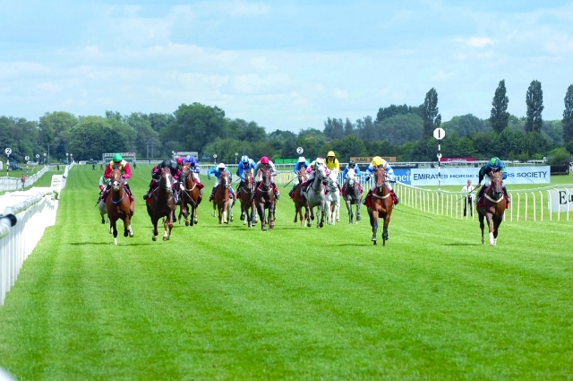 "■ منافسة قوية على جوائز السباق | البيان"