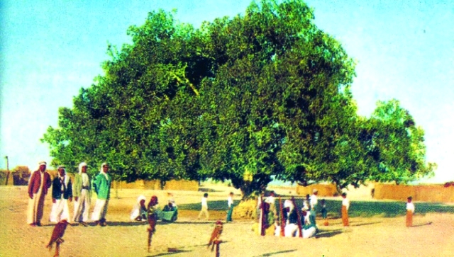 "ميدان الرولة"