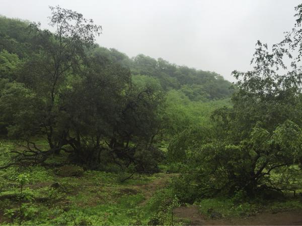 "عين اثوم .. سلطنة عمان"