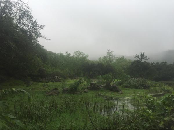 "عين طبرق .. سلطنة عمان"