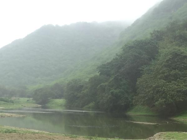 "وادي دربات .. سلطنة عمان"