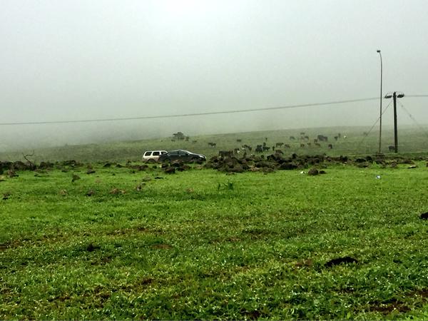 "مدينة الحق .. سلطنة عمان"