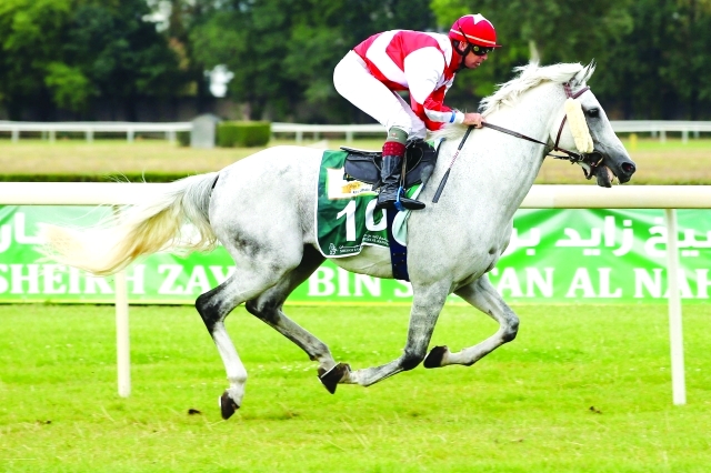 "■ «اميريتو» بطل التاج الثلاثي على كأس زايد | تصوير ـ مرهف العساف"