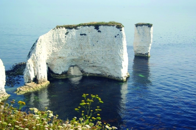 " هاريز روك"