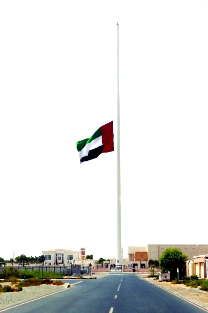 "تنكيس العلم الاماراتي حدادا على شهداء الوطن ــ تصوير: يونس يونس"