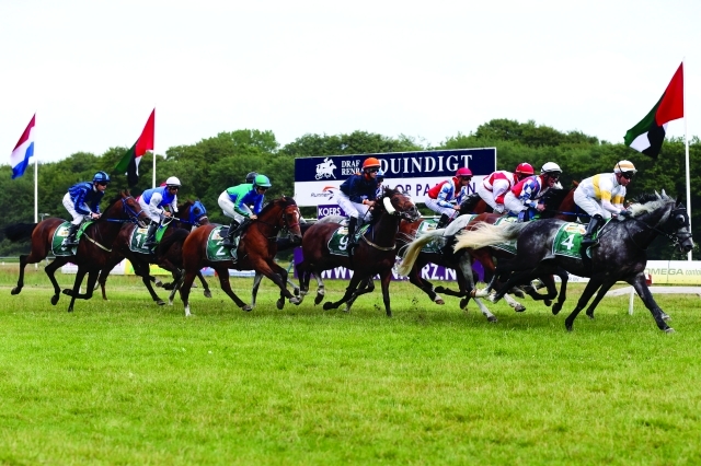 16 خيلاً تزيّن سباق جوهرة تاج الشيخ زايد