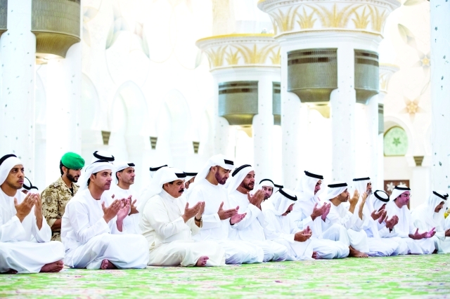 "محمد بن زايد وحمد بن عيسى وسرور بن محمد وهزاع وسيف ومنصور وذياب بن زايد ومحمد بن خليفة ونهيان بن مبارك"