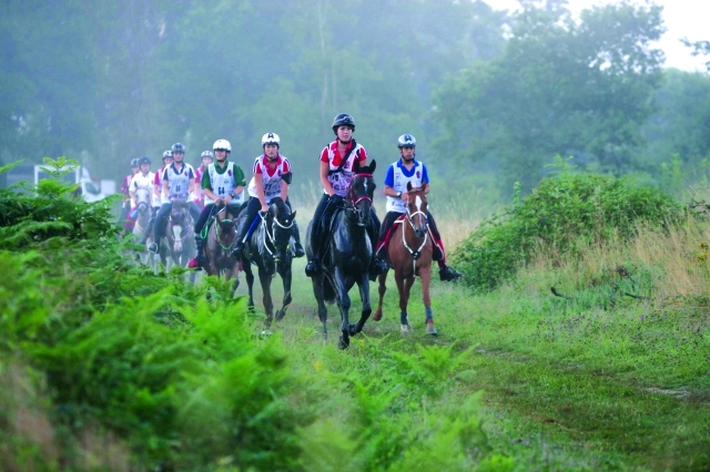 "■ منافسة قوية في كل النسخ السابقة | البيان"