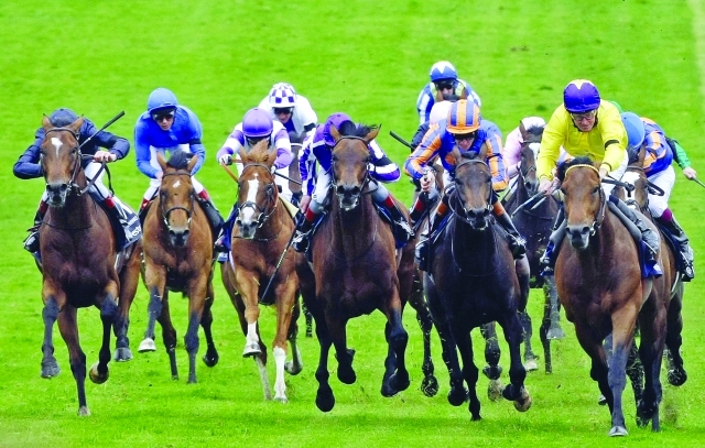 "■ خيول الإمارات تواجه الأقوياء في سباق الآرك | البيان"