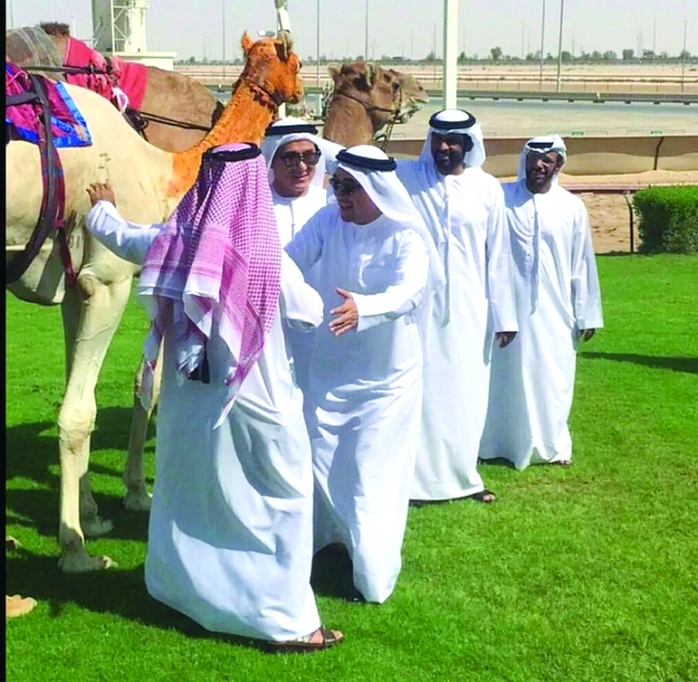 "شان خلال محاولته امتطاء الجمل"