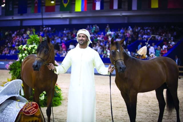 "خيول مربط دبي نال الاعجاب في منافسات البطولة البيان"