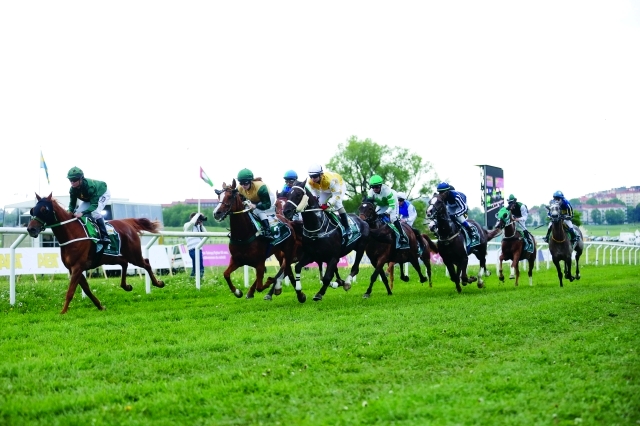 "■ لقطة من سباقات كأس زايد في المهرجان | البيان"