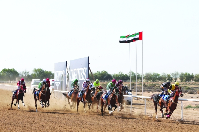 "سباق مضمار الشارقة"