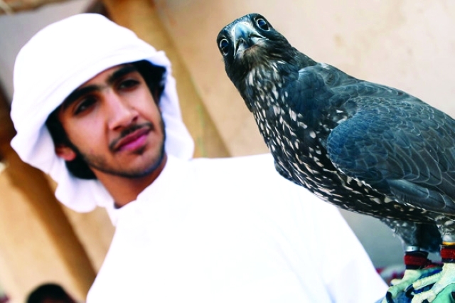 "■ أحد عارضي الصقور في المهرجان | تصوير مجدي اسكندر"
