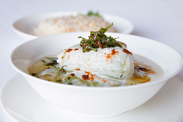 "كوسا باللبن"