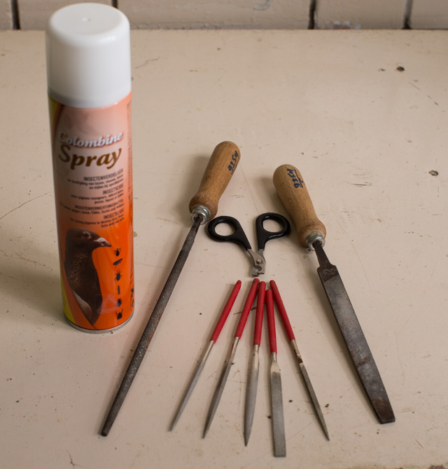 "أدوات النظافة"