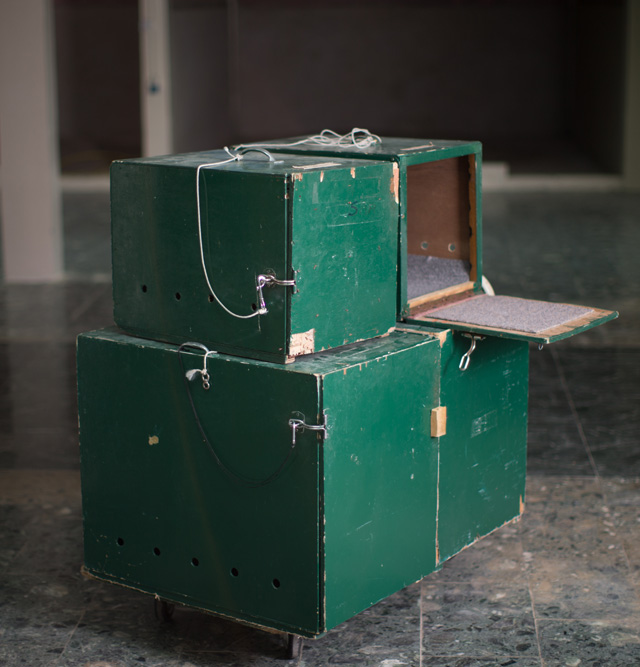 "صناديق خشبية"