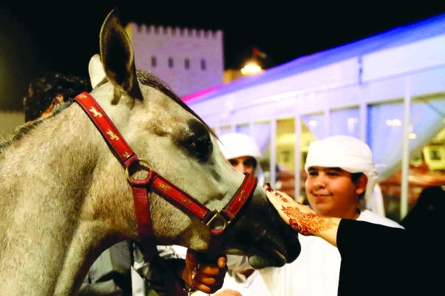 "الفروسية و الخيول من تراث الأجداد تصوير - مجدي اسكندر"