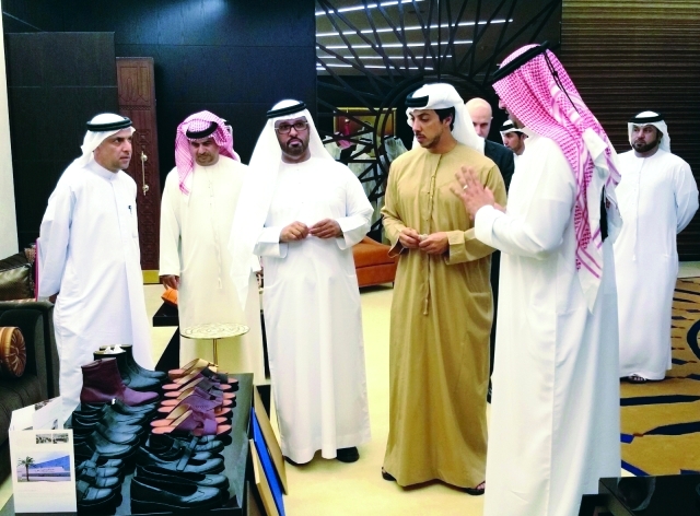 منصور بن زايد يؤكد أهمية تنويع الاقتصاد