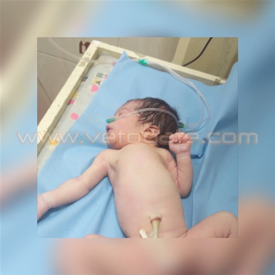بالفيديو.. جريمة مروعة لأم ألقت رضيعها من نافذة حمام بمستشفى