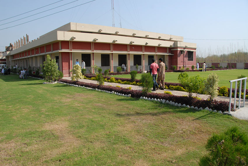 "جامعة باتشا خان"