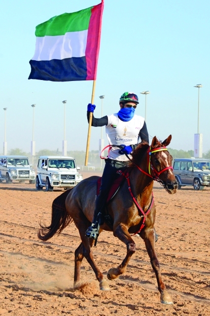 "بطل كأس محمد بن راشد للقدرة 2016"