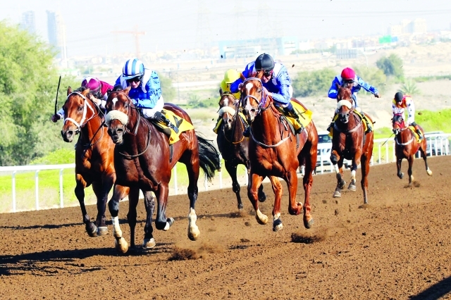 "■ نخبة الخيول تشارك في ثامن سباقات الموسم | أرشيفية"